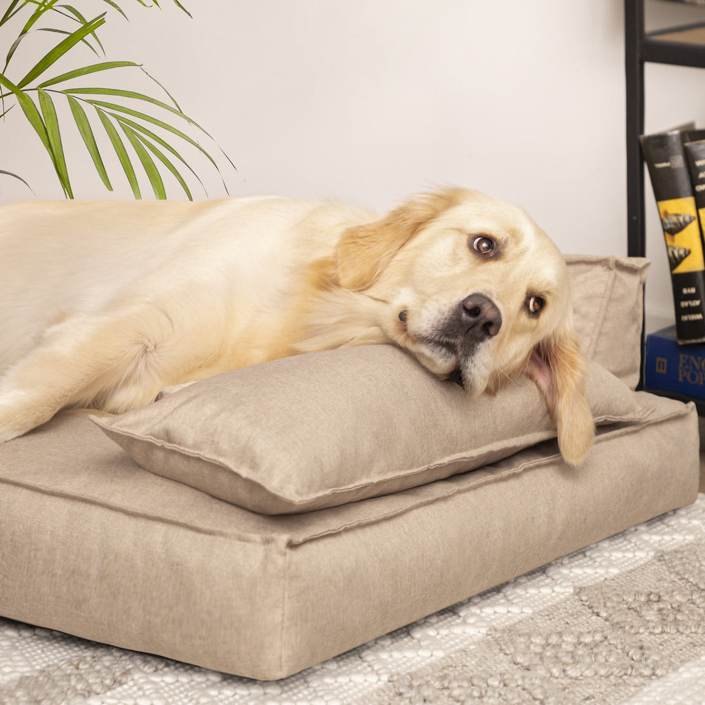 Winoo Dog Bed with Removable Cover – Taupe L