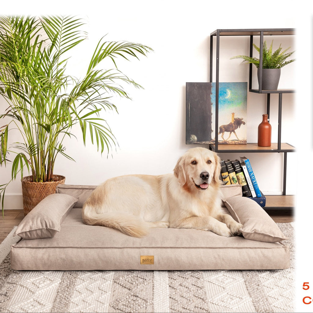 Winoo Dog Bed with Removable Cover – Taupe L