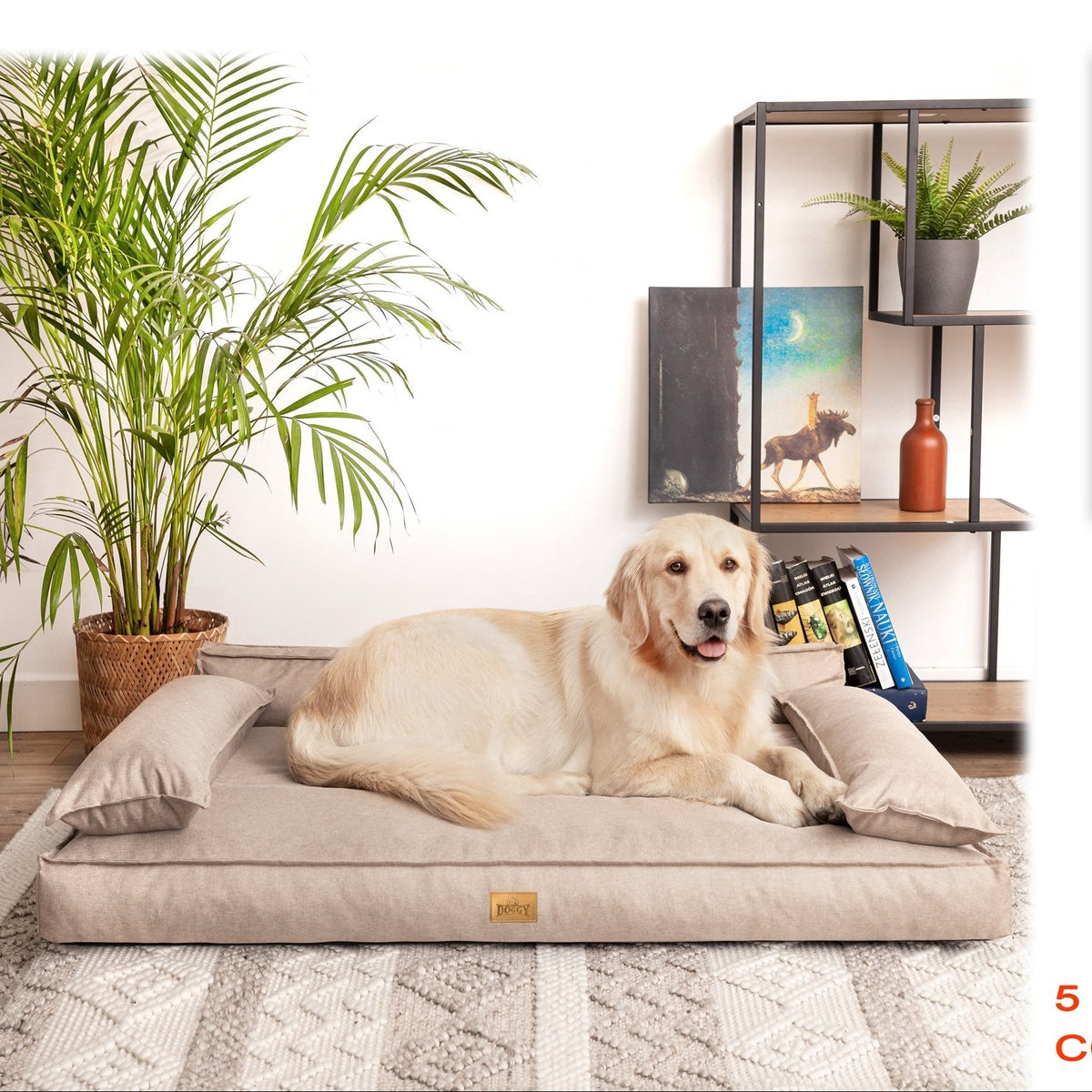 Winoo Dog Bed with Removable Cover – Taupe L