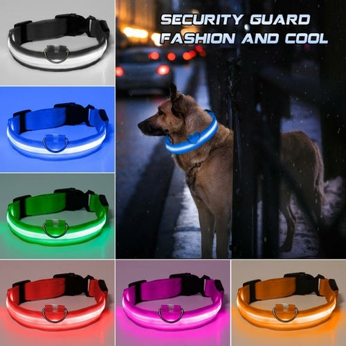 Led Dog Collar Anti-Lost/Avoid Car Accident Collar For Dogs Puppies